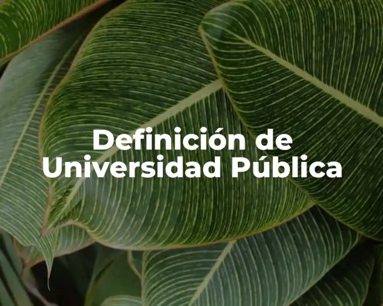 Definición de Universidad Pública