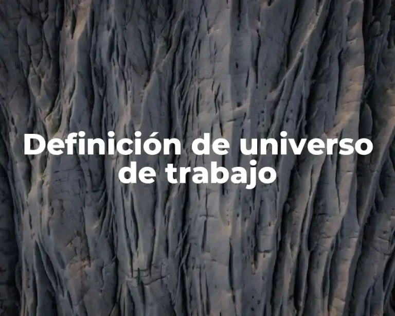 Definición de universo de trabajo