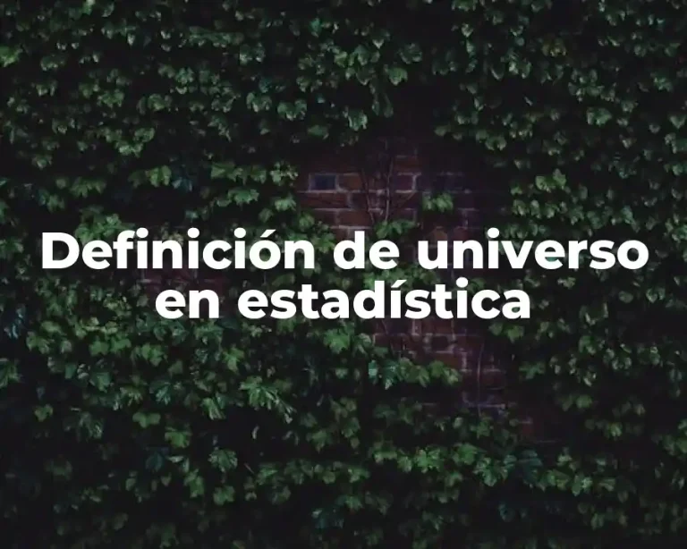 Definición de universo en estadística