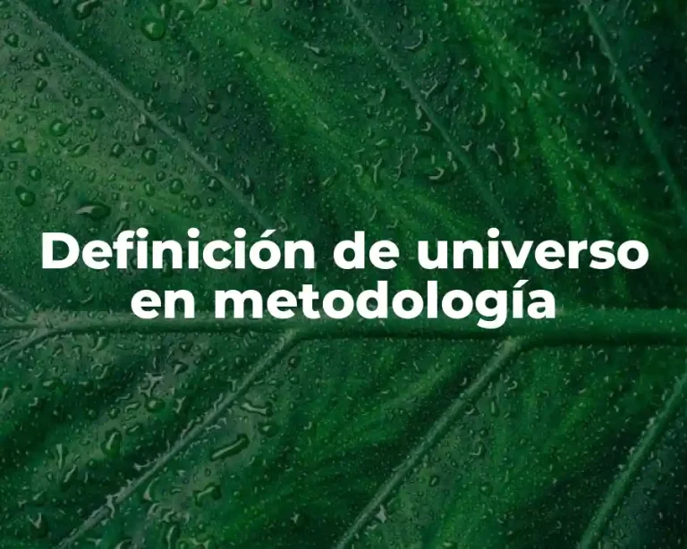 Definición de universo en metodología