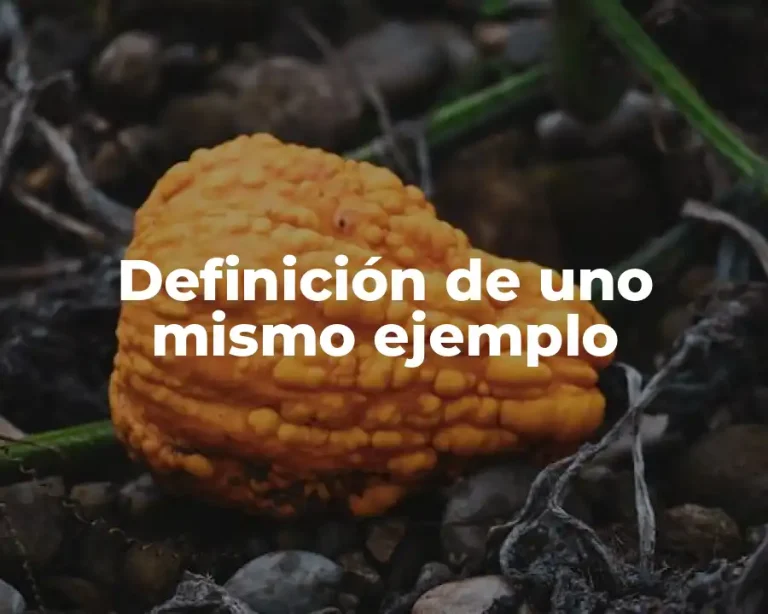 Definición de uno mismo ejemplo