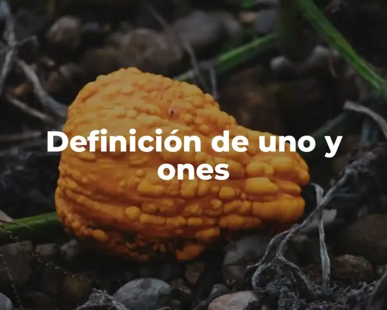 Definición de uno y ones