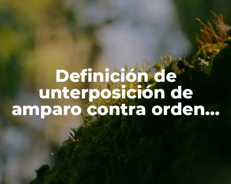 Definición de unterposición de amparo contra orden de aprehensión