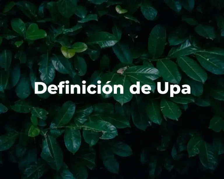 Definición de Upa