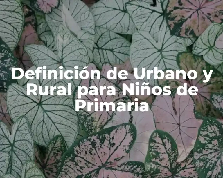 Definición de Urbano y Rural para Niños de Primaria