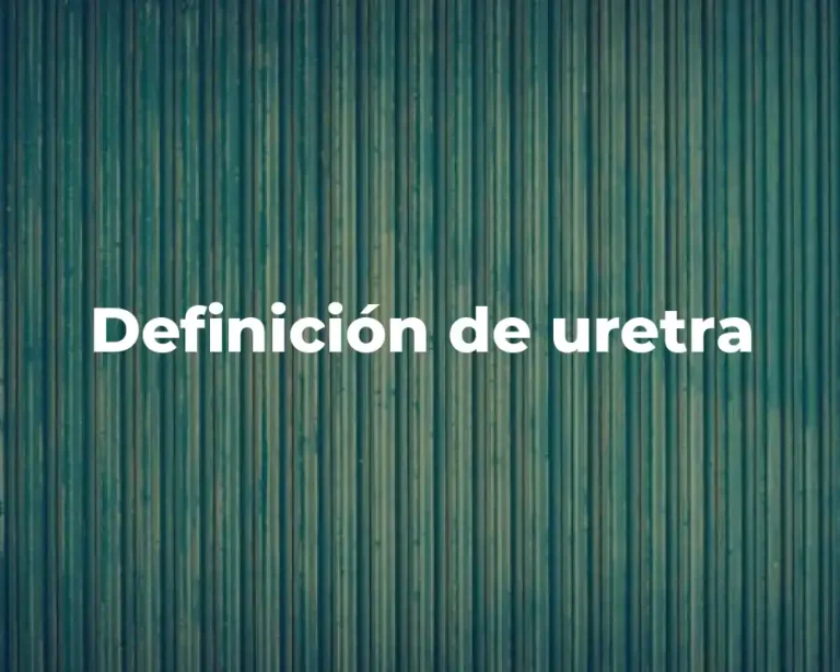 Definición de uretra