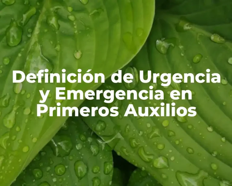 Definición de Urgencia y Emergencia en Primeros Auxilios