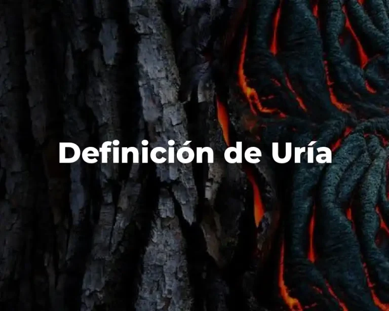 Definición de Uría