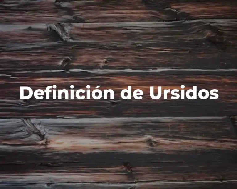 Definición de Ursidos