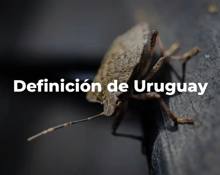 Definición de Uruguay