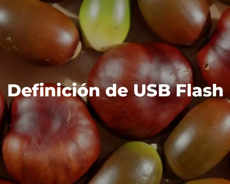 Definición de USB Flash