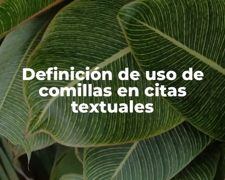 Definición de uso de comillas en citas textuales