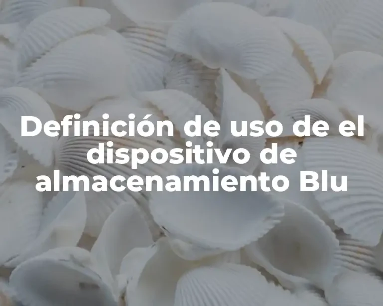 Definición de uso de el dispositivo de almacenamiento Blu