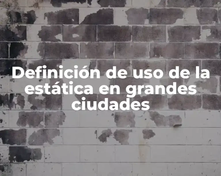 Definición de uso de la estática en grandes ciudades