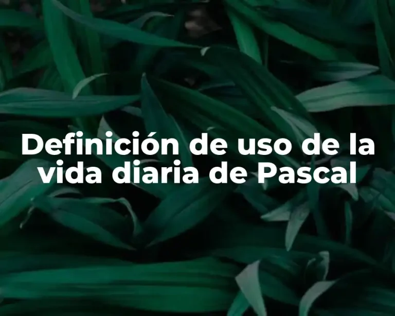 Definición de uso de la vida diaria de Pascal