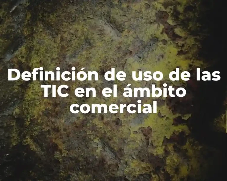 Definición de uso de las TIC en el ámbito comercial