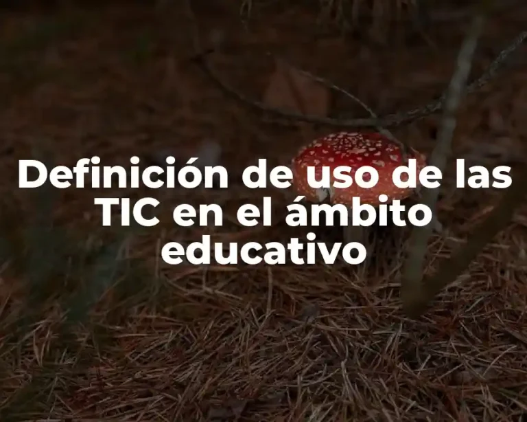 Definición de uso de las TIC en el ámbito educativo