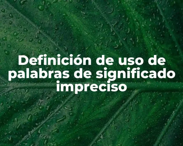Definición de uso de palabras de significado impreciso