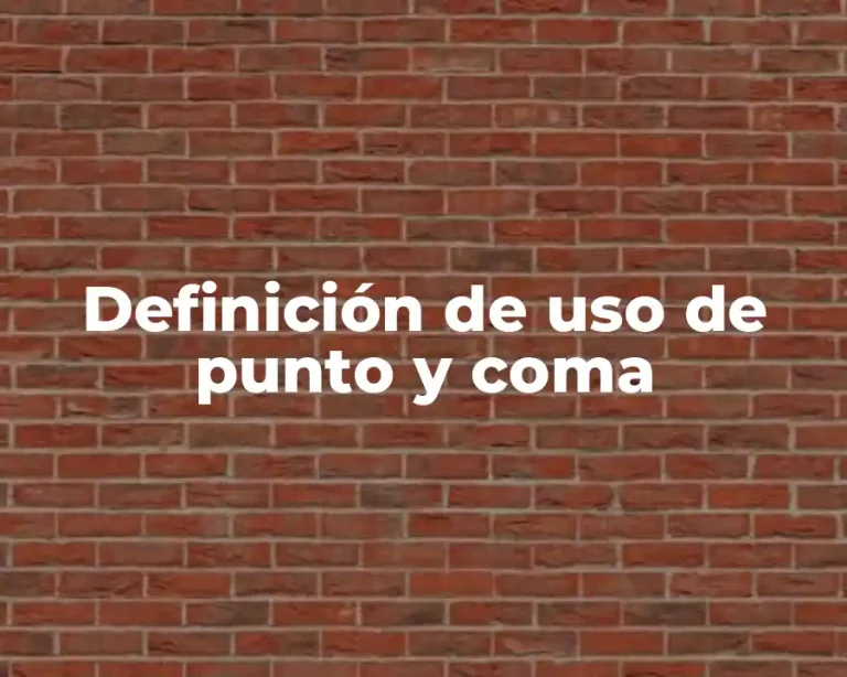 Definición de uso de punto y coma