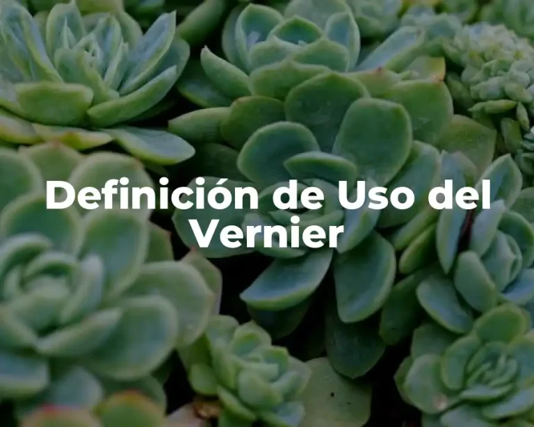 Definición de Uso del Vernier