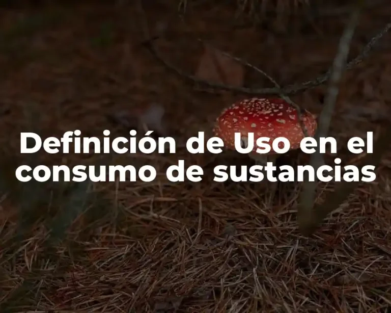 Definición de Uso en el consumo de sustancias