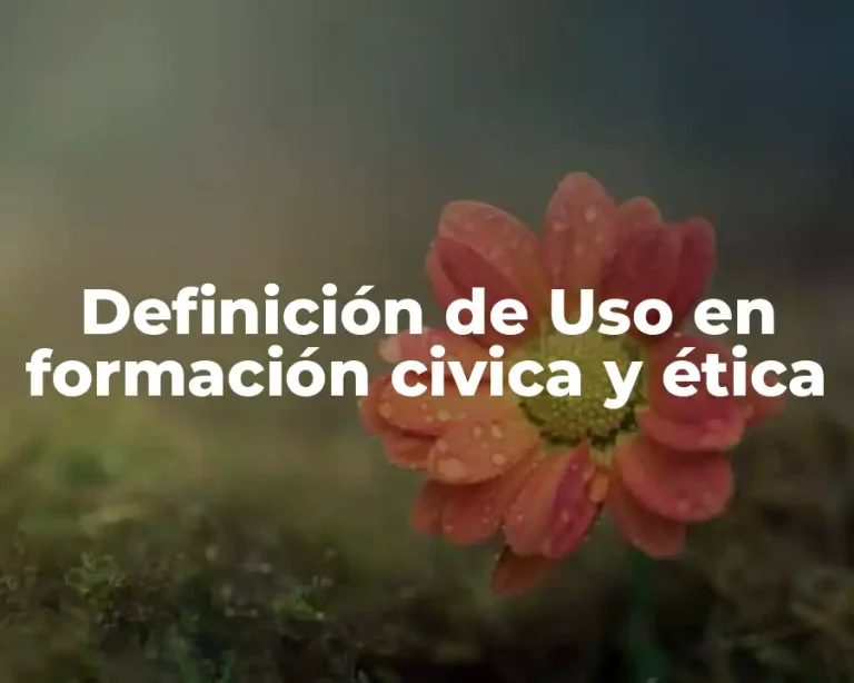 Definición de Uso en formación civica y ética