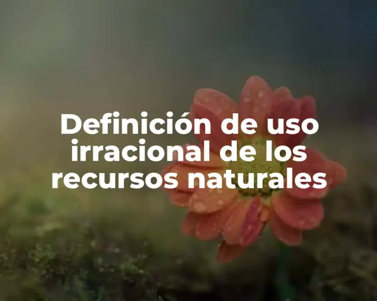 Definición de uso irracional de los recursos naturales