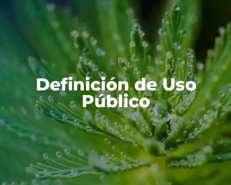 Definición de Uso Público