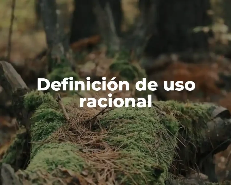 Definición de uso racional