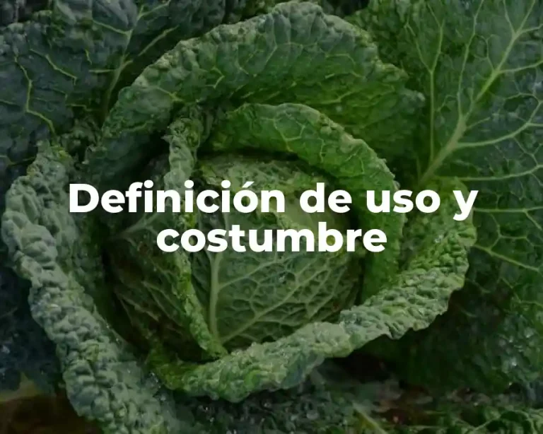 Definición de uso y costumbre