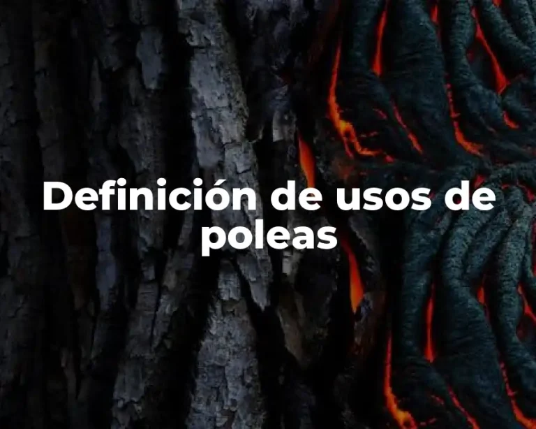 Definición de usos de poleas