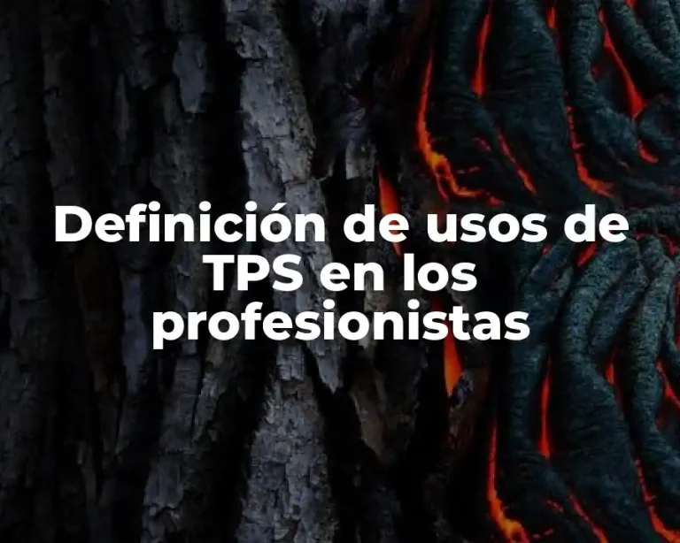 Definición de usos de TPS en los profesionistas