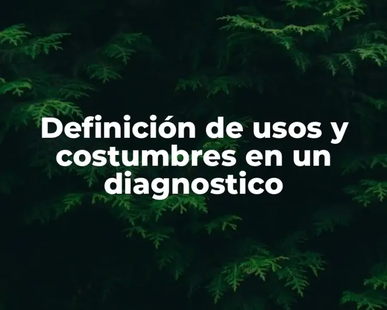 Definición de usos y costumbres en un diagnostico