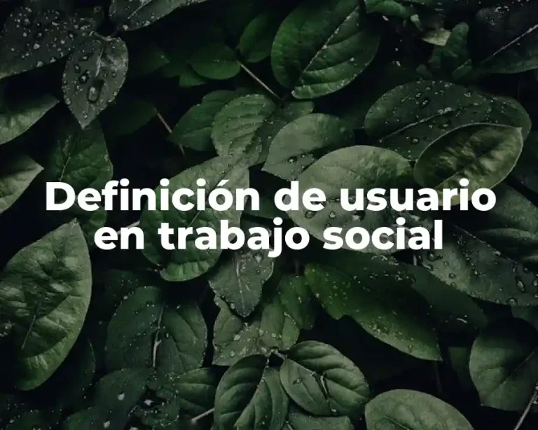 Definición de usuario en trabajo social