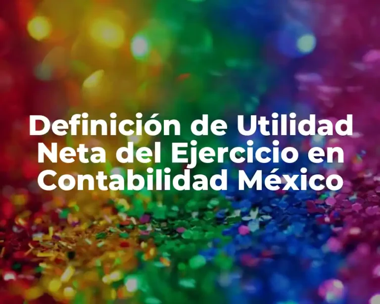 Definición de Utilidad Neta del Ejercicio en Contabilidad México
