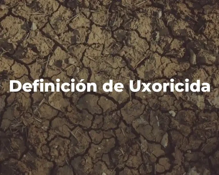 Definición de Uxoricida