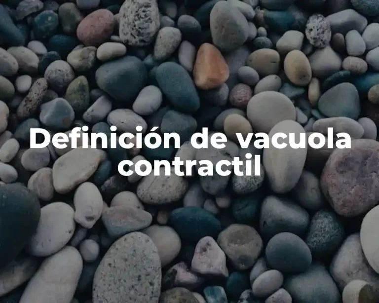 Definición de vacuola contractil