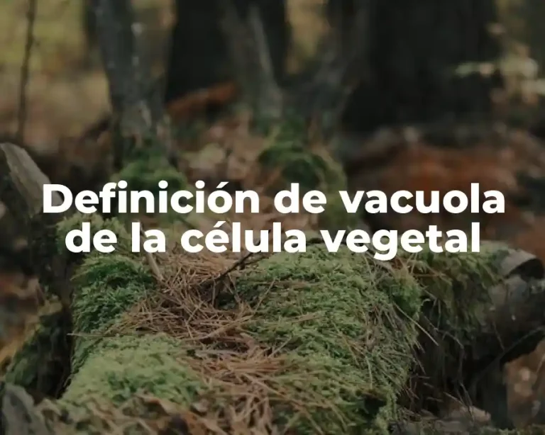 Definición de vacuola de la célula vegetal