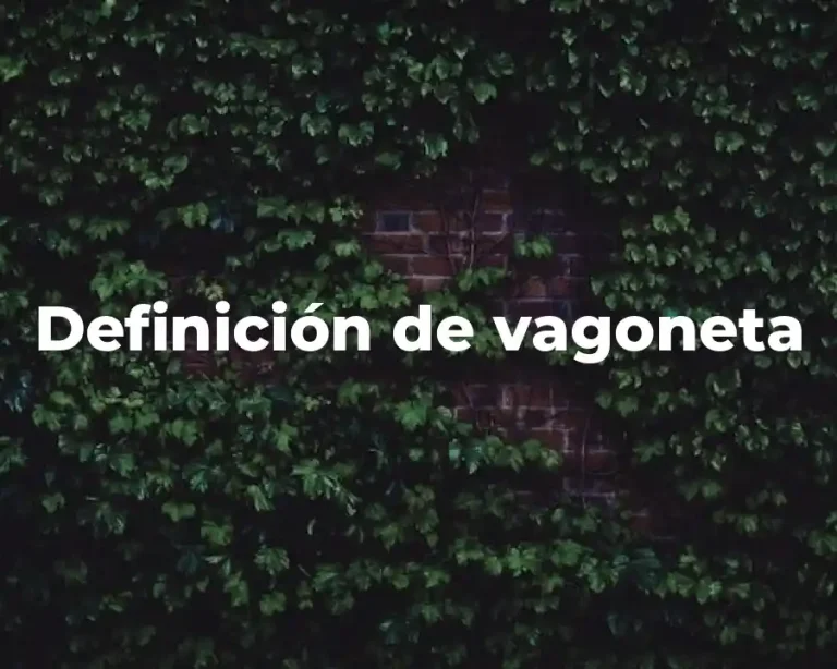 Definición de vagoneta