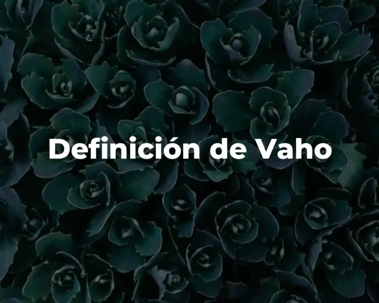 Definición de Vaho
