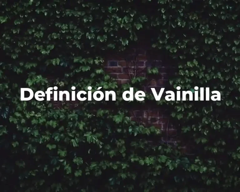 Definición de Vainilla