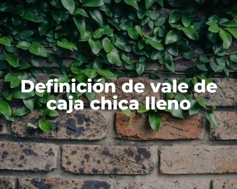 Definición de vale de caja chica lleno