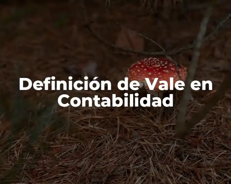 Definición de Vale en Contabilidad