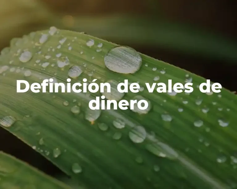 Definición de vales de dinero