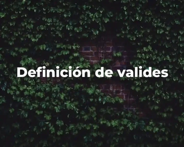 Definición de valides