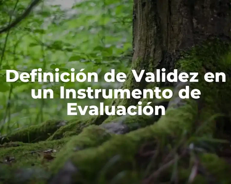 Definición de Validez en un Instrumento de Evaluación