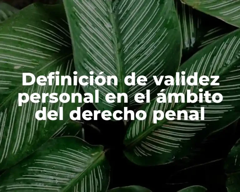 Definición de validez personal en el ámbito del derecho penal