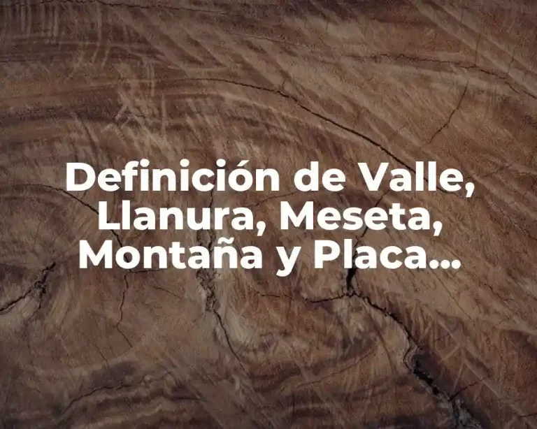 Definición de Valle, Llanura, Meseta, Montaña y Placa Tectónica
