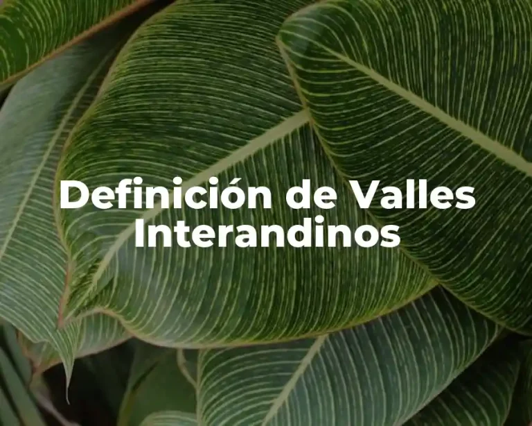 Definición de Valles Interandinos