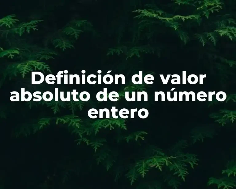 Definición de valor absoluto de un número entero